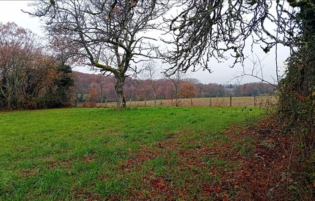 terrain  pièces 2970 m2 à vendre à Salon-la-Tour (19510)