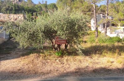 vente terrain 205 000 € à proximité de Montfort-sur-Argens (83570)