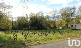 Photo N° 6