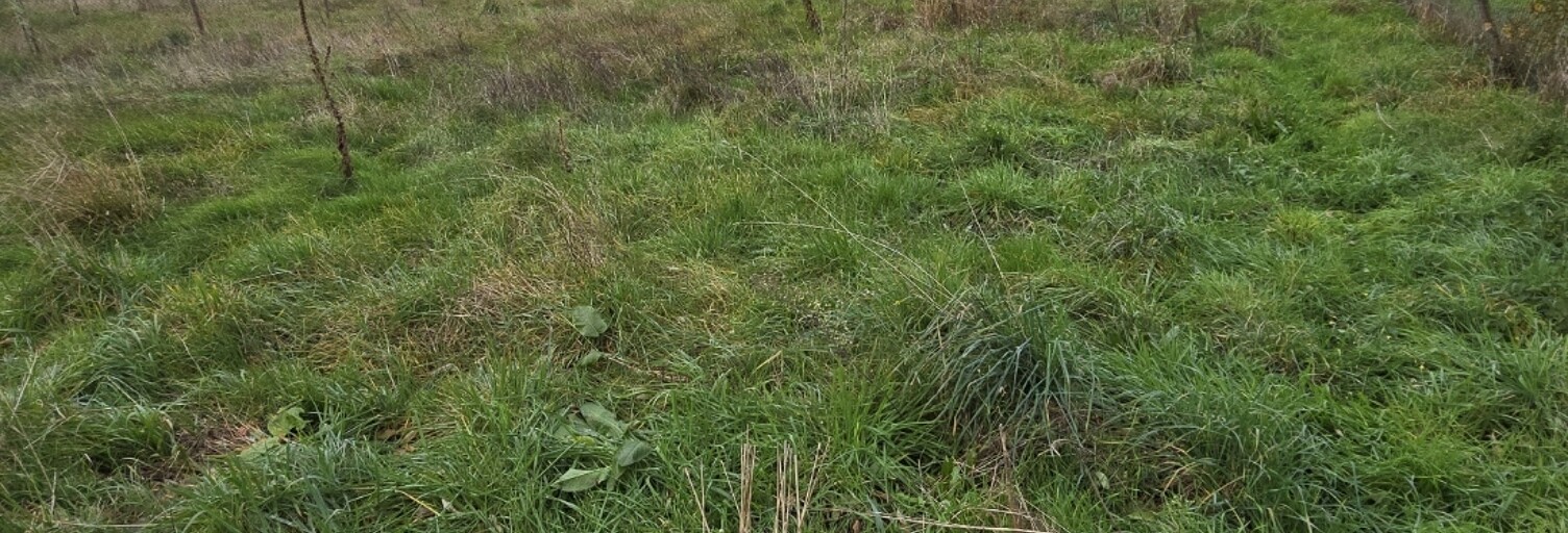 Terrain  1940 m² à vendre à Lezoux (63190)