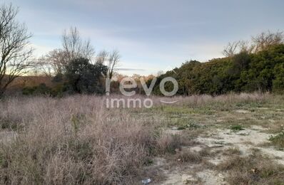 vente terrain 167 000 € à proximité de Murviel-Lès-Montpellier (34570)