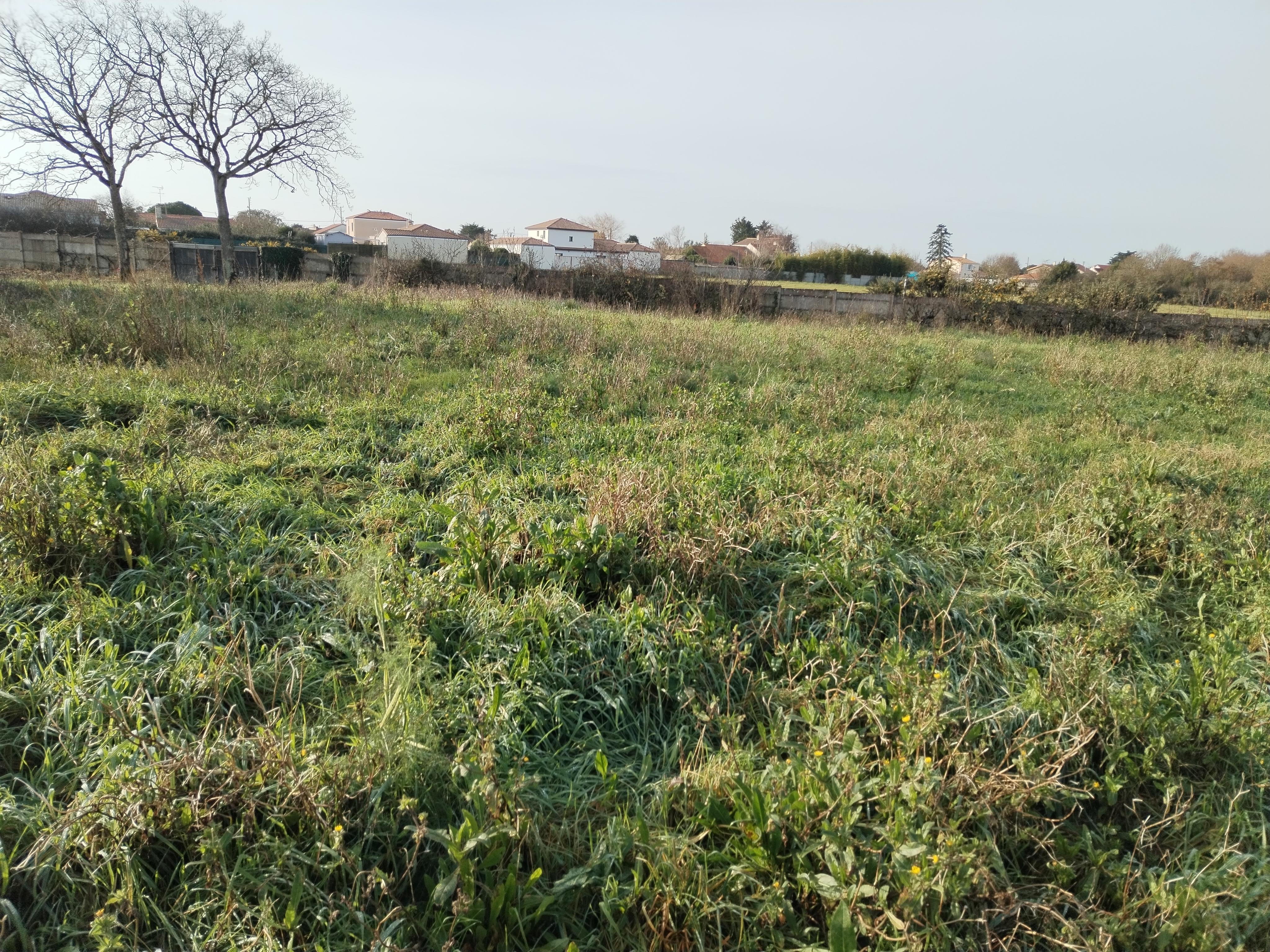 Agence immobilière de Maisons Bouvier