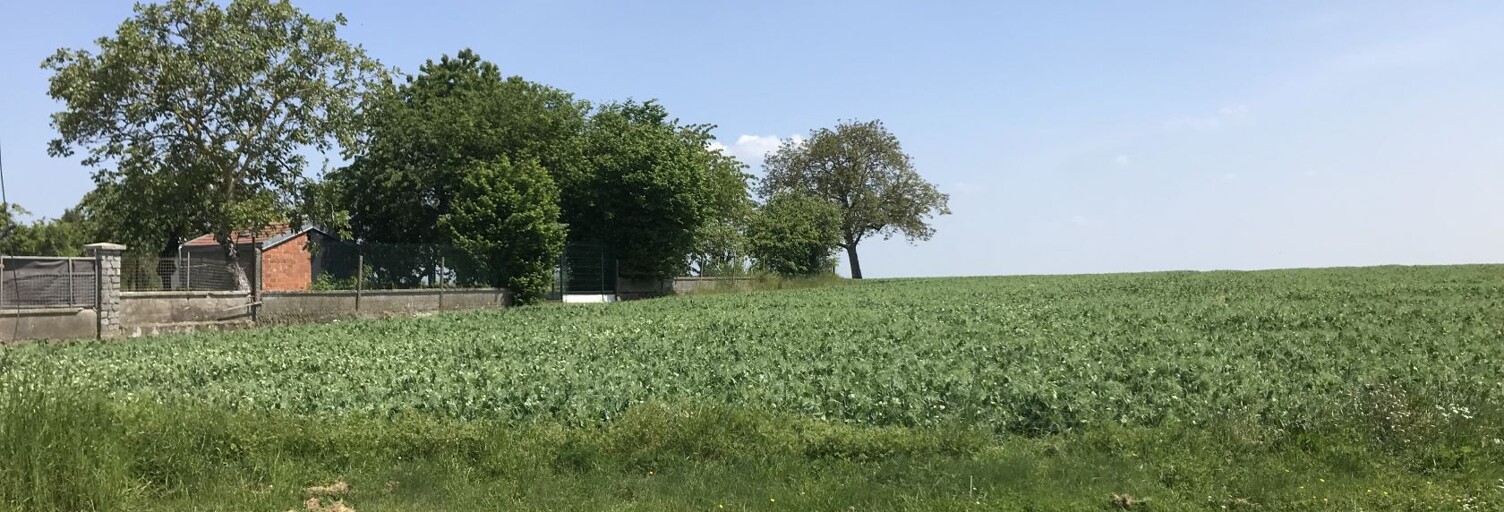 Terrain  934 m² à vendre à Bailleau-le-Pin (28120)