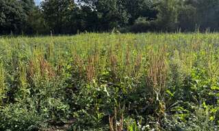 Terrain  716 m² à vendre à Senantes (28210)