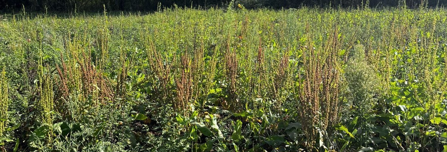 Terrain  716 m² à vendre à Senantes (28210)