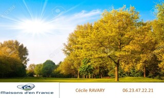 Photo N° 3