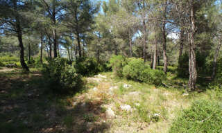 Terrain  38000 m² à vendre à Ollioules (83190)