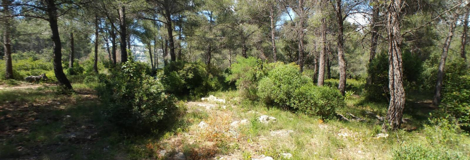 Terrain  38000 m² à vendre à Ollioules (83190)