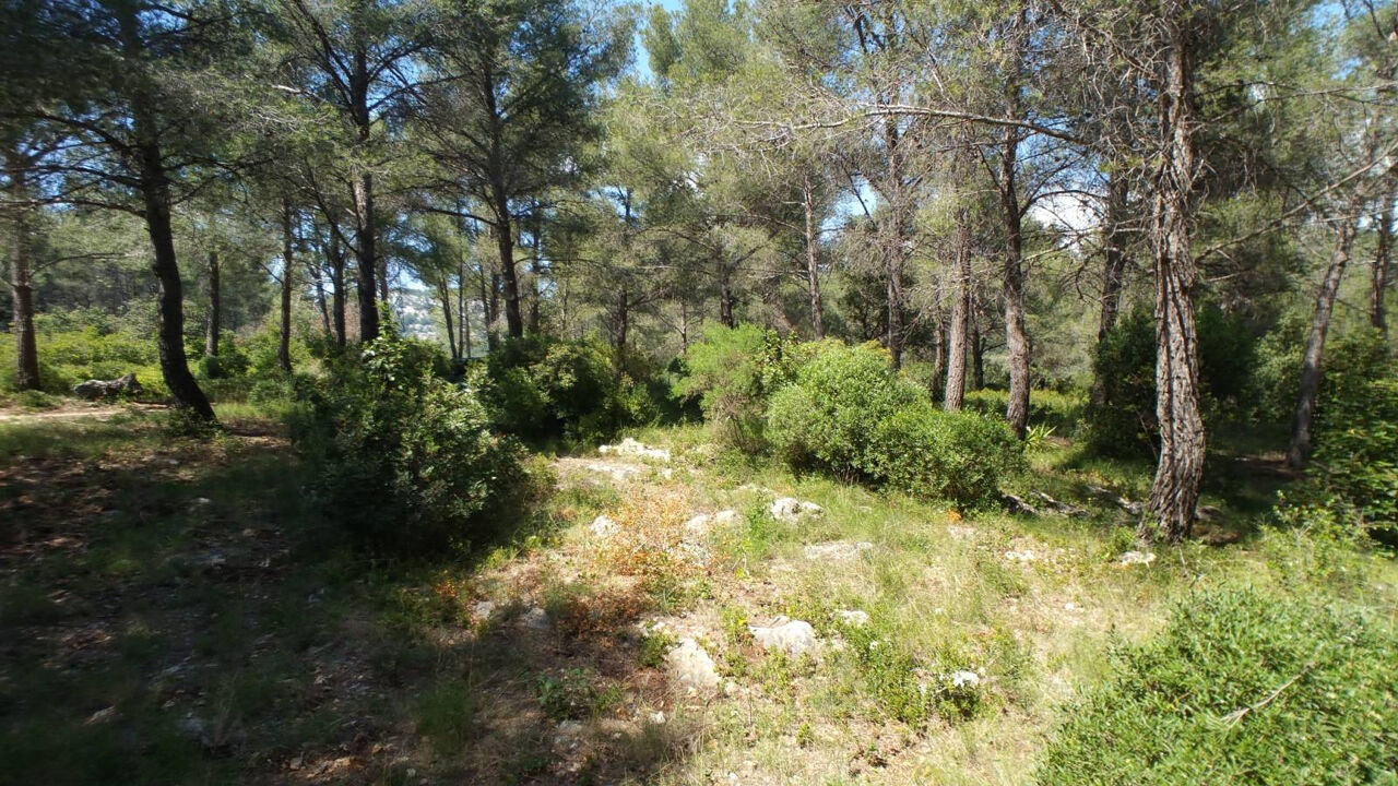 terrain  pièces 38000 m2 à vendre à Ollioules (83190)