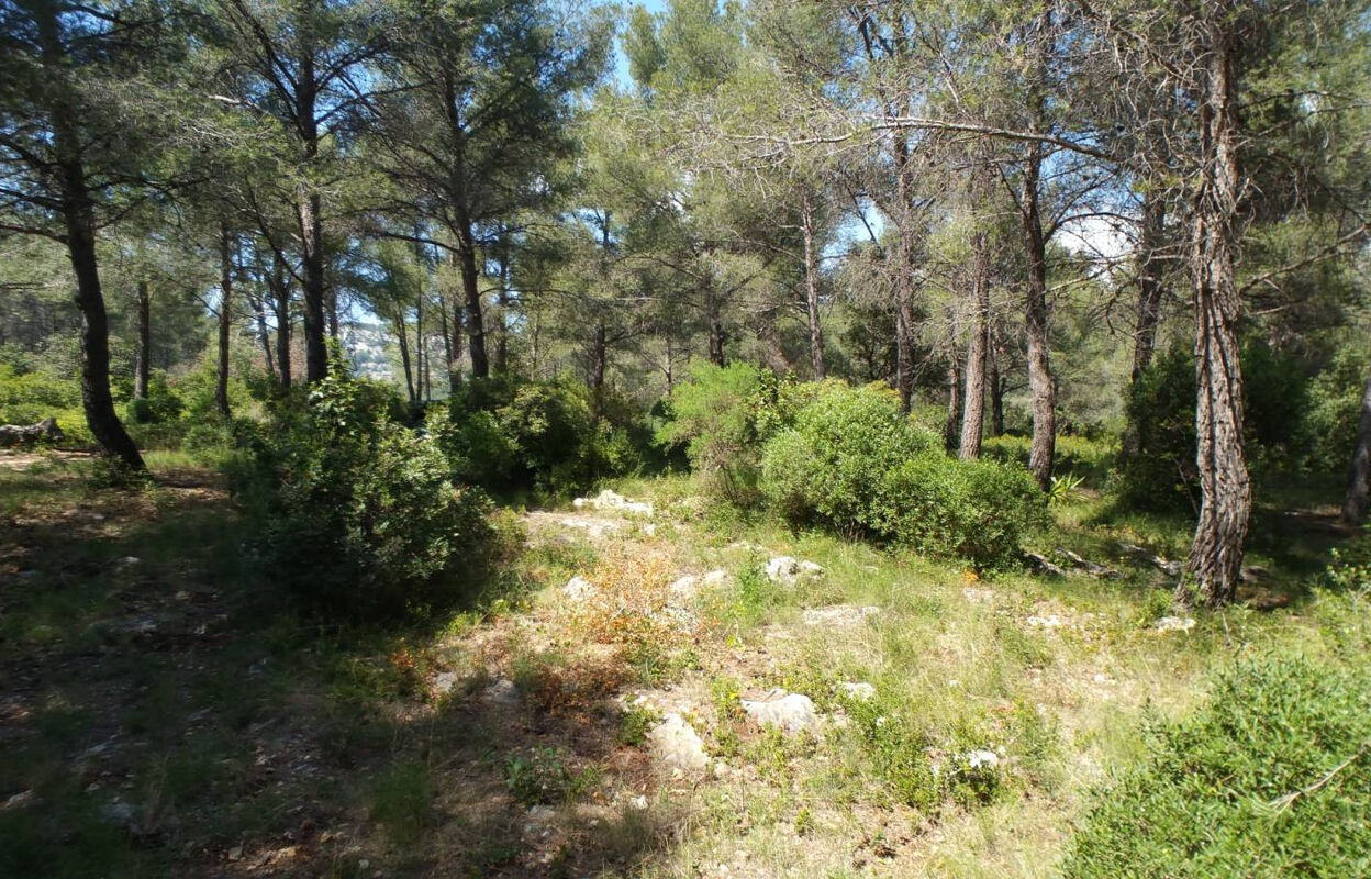 terrain  pièces 38000 m2 à vendre à Ollioules (83190)