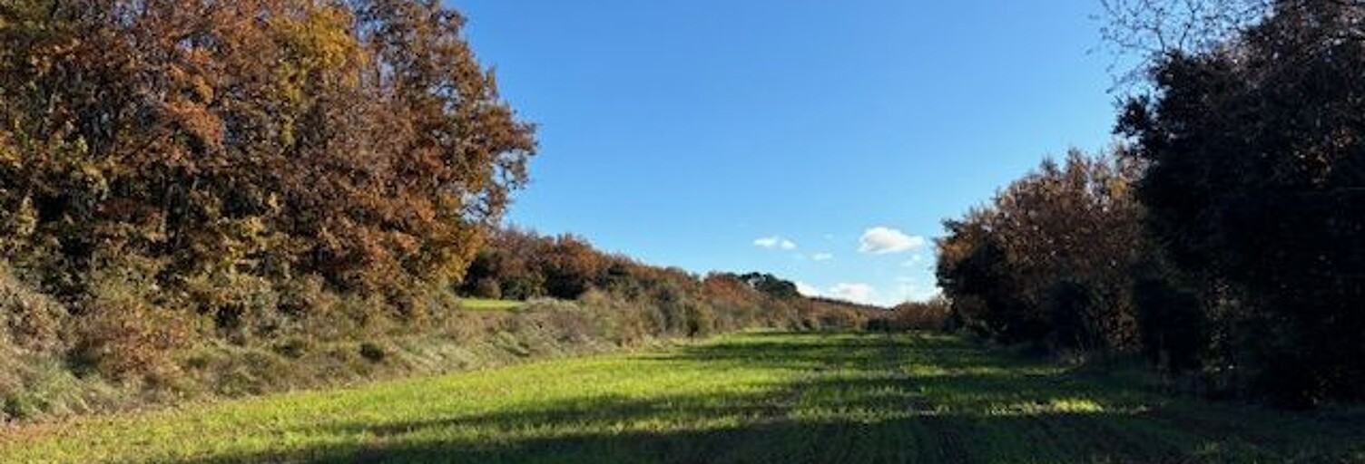 Terrain  16500 m² à vendre à Uzès (30700)