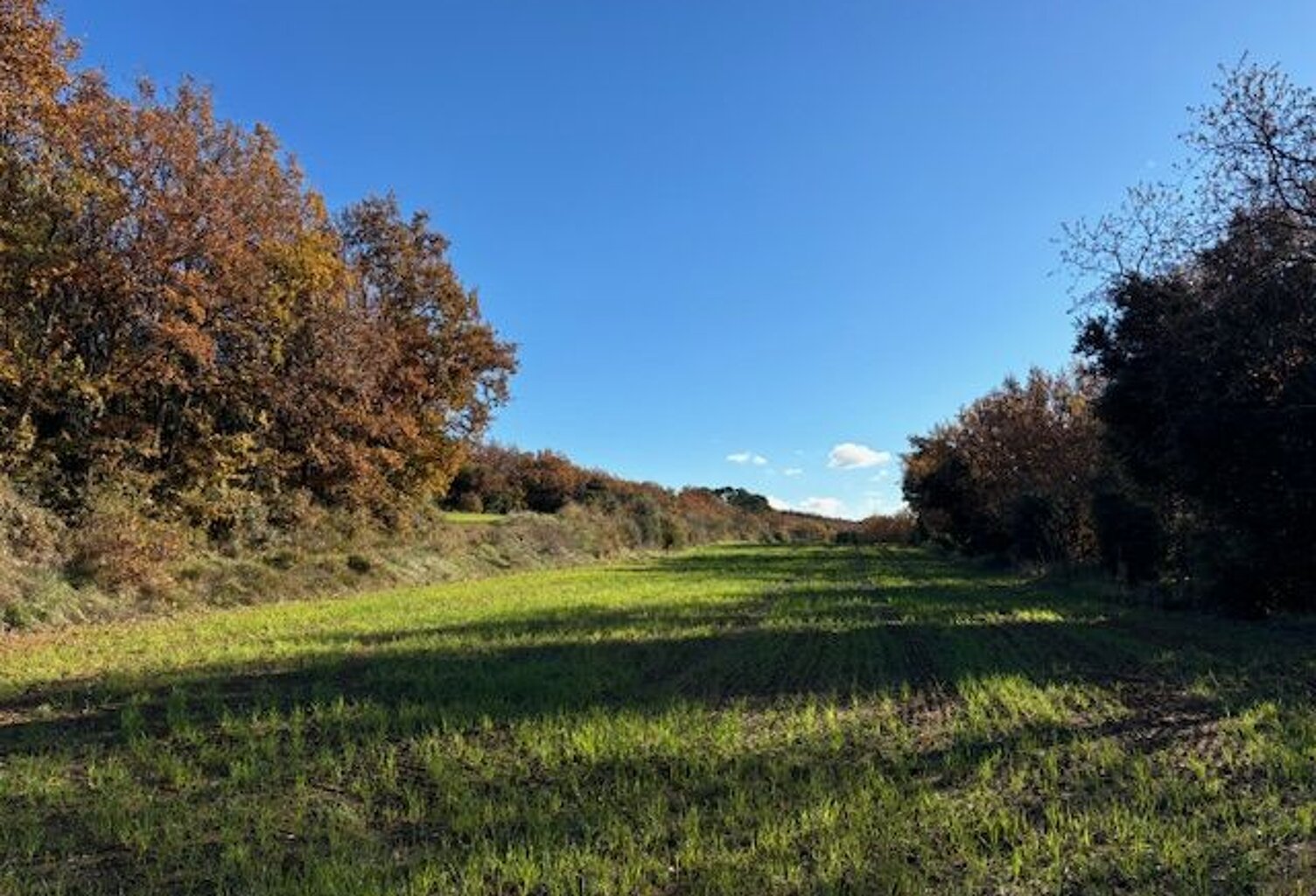 Terrain AVEC MASURE A RENOVER — photo 1