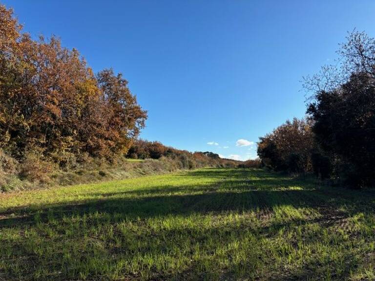 Terrain AVEC MASURE A RENOVER — photo 1