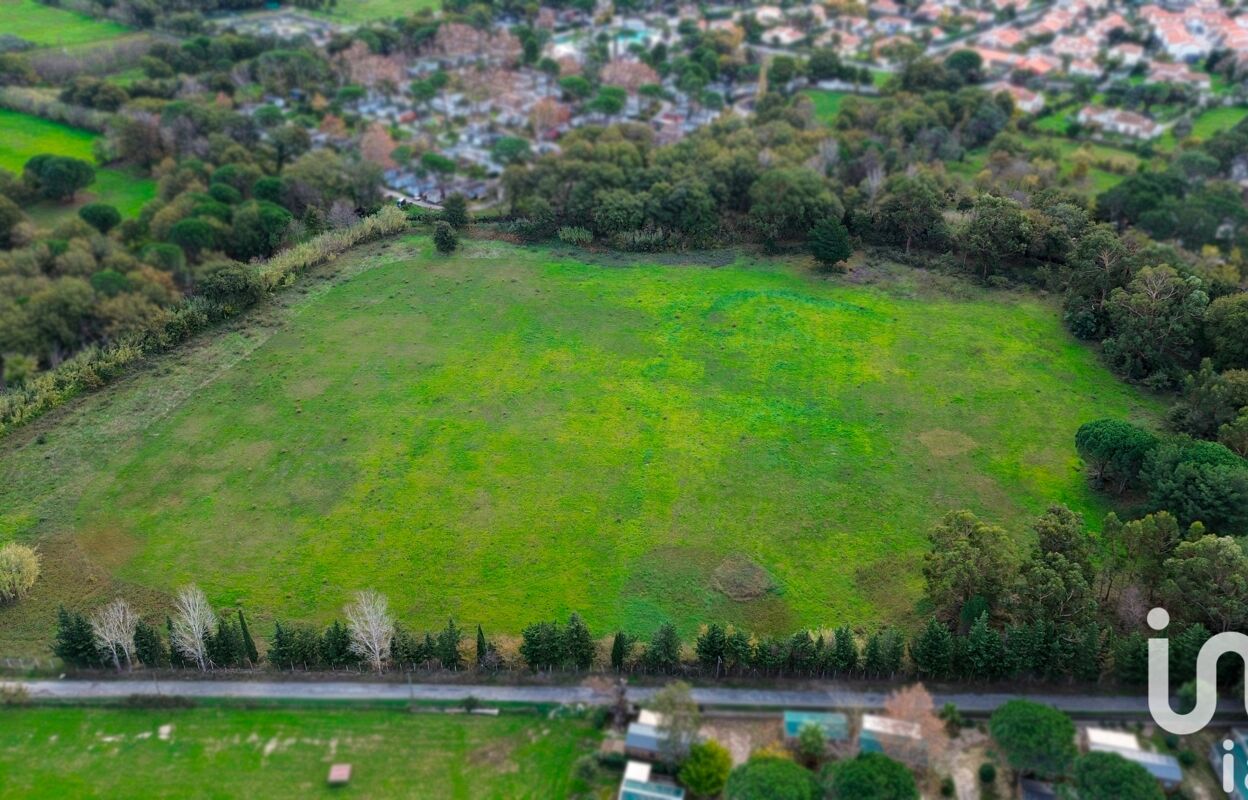 terrain  pièces 42595 m2 à vendre à Argelès-sur-Mer (66700)