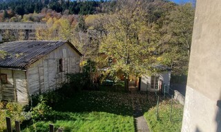 Photo N° 8