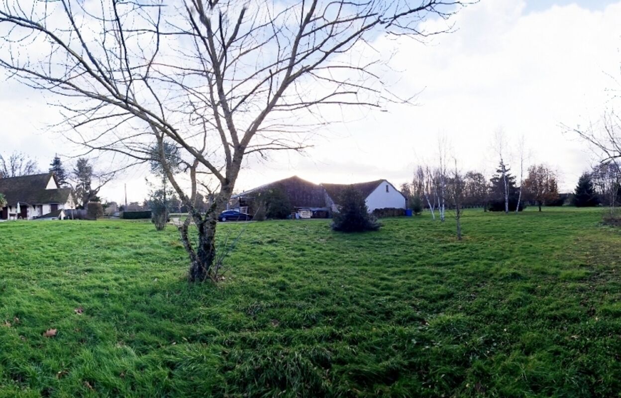 maison 11 pièces 265 m2 à vendre à Sully-sur-Loire (45600)