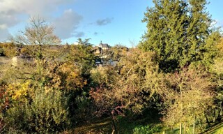 Photo N° 4