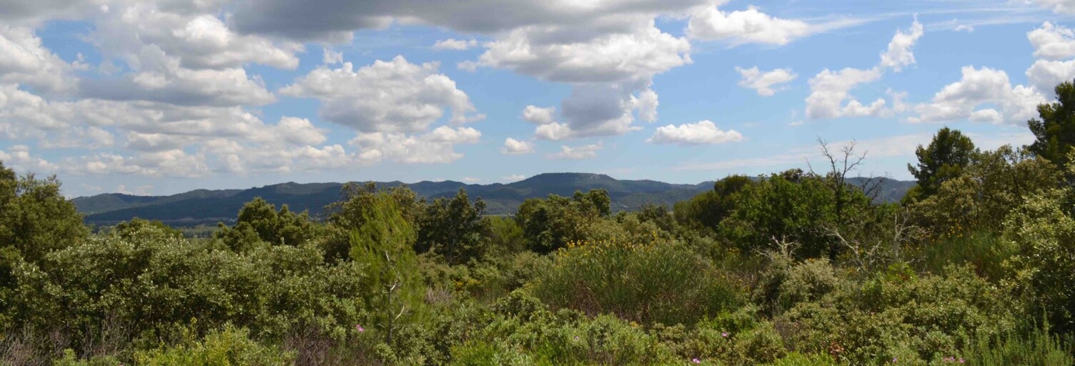 Terrain  1165 m² à vendre à Puget (84360)