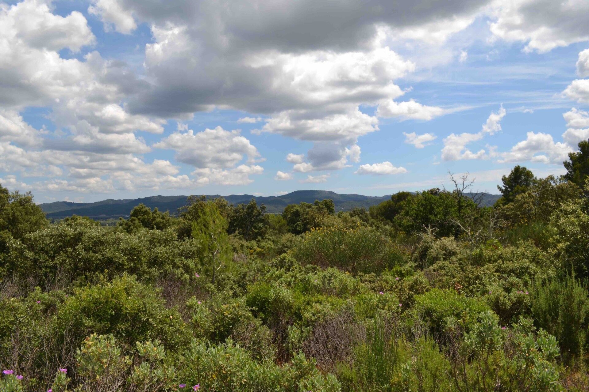 Agence immobilière de Luxorimmobilier