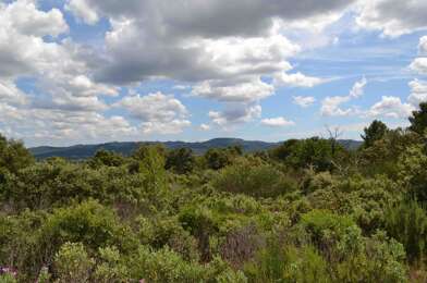 Terrain  240000 €