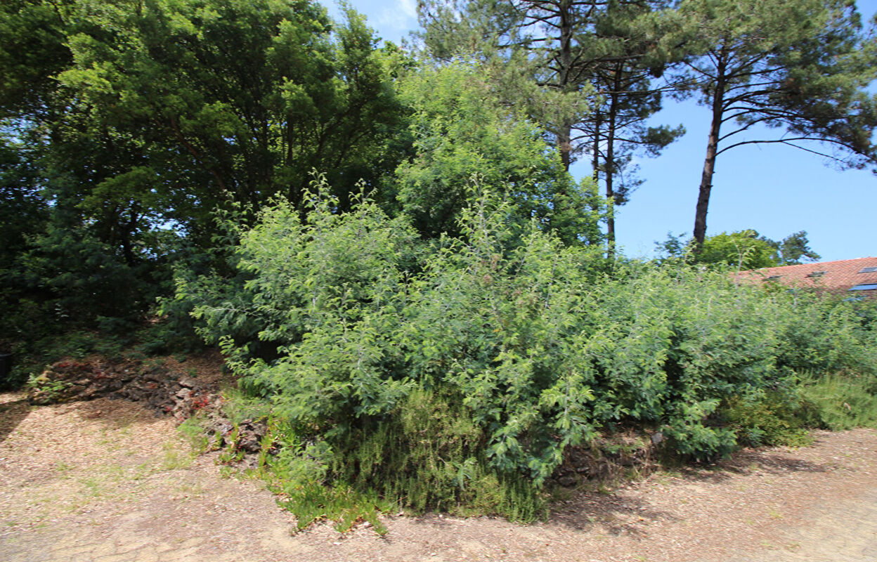 terrain  pièces 736 m2 à vendre à Capbreton (40130)