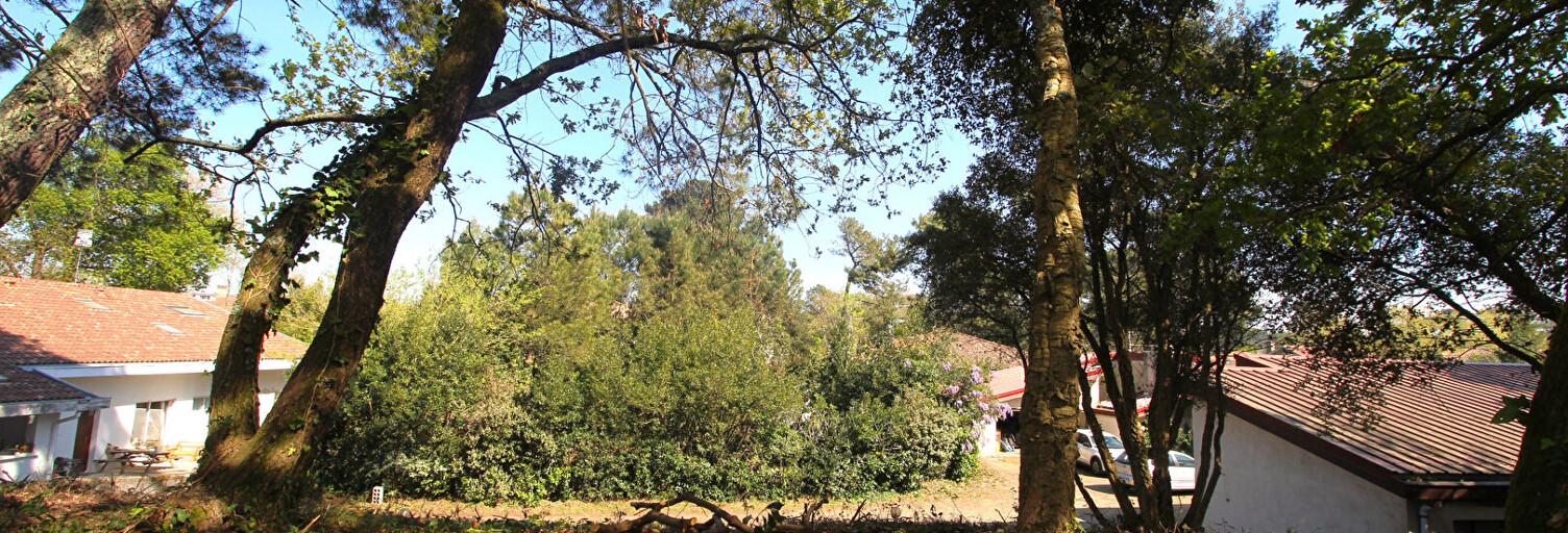 Terrain  736 m² à vendre à Capbreton (40130)