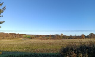 Photo N° 13