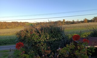 Photo N° 14