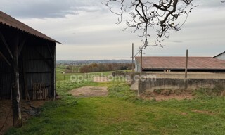 Photo N° 16