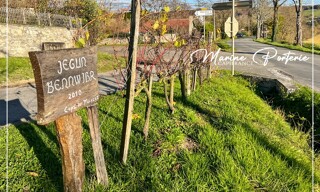 Photo N° 4