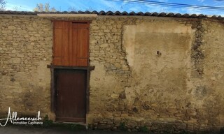 Photo N° 11