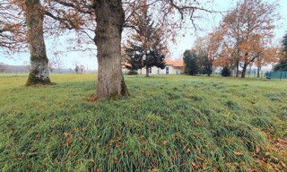 Photo N° 7