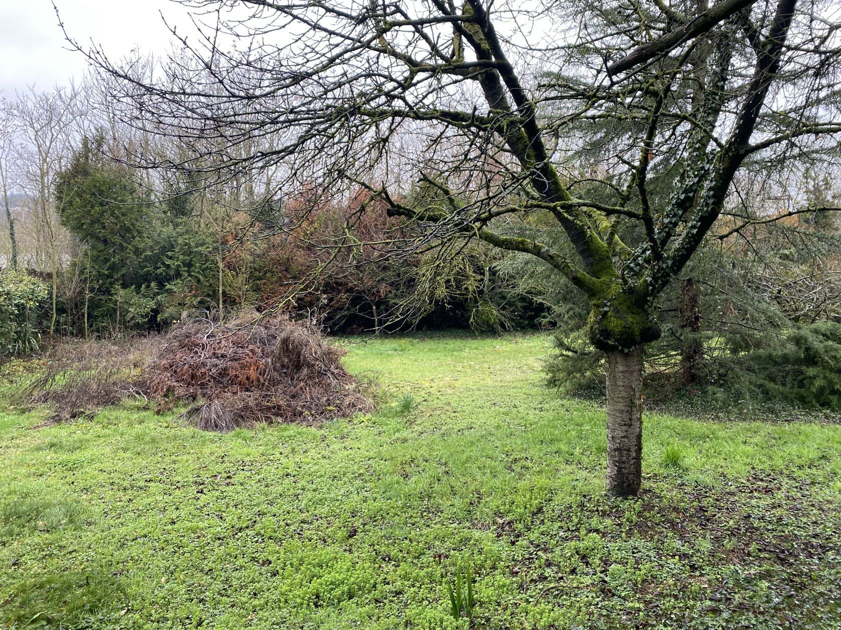 Terrain à bâtir de 265 m² à ORMOY (91)