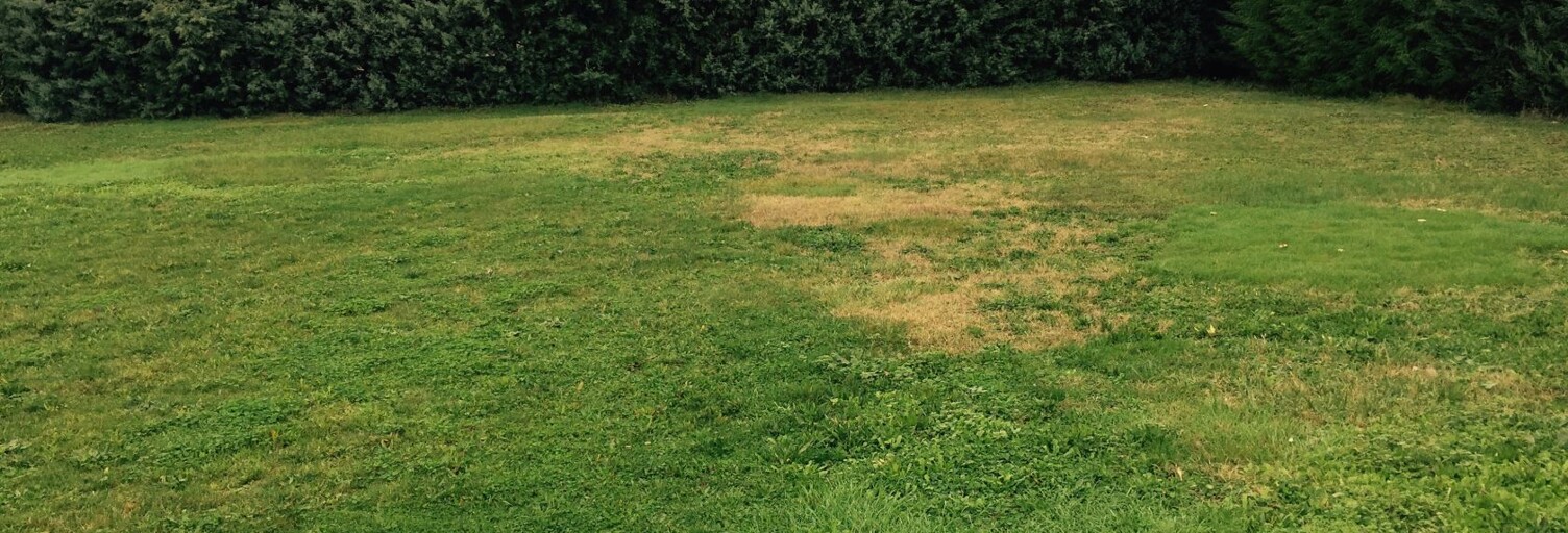 Terrain 290 m² à construire Savigny-sur-Orge (91600)