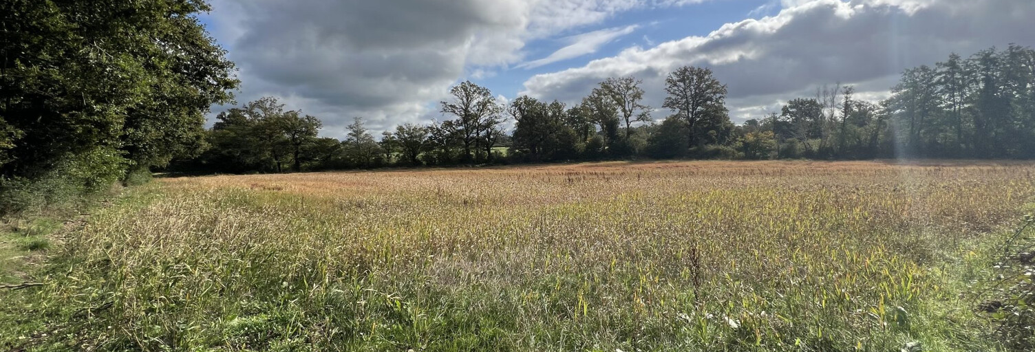 Maison 9 Pièces 165 m² à vendre à Saint-Maur (18270)