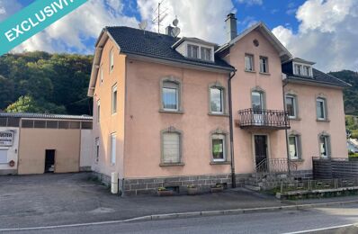 vente immeuble 350 000 € à proximité de Sainte-Marie-Aux-Mines (68160)