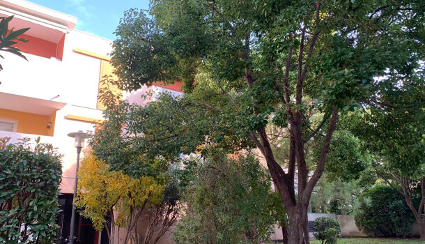 Appartement 3 pièces  à vendre Montpellier 34000