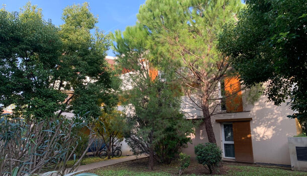Appartement 3 pièces  à vendre Montpellier 34000