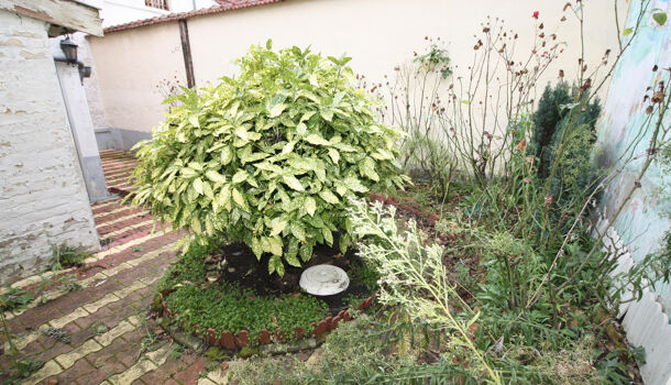 Villa / Maison 7 pièces  à vendre Reims 51100