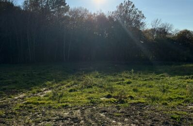 terrain  pièces 1100 m2 à vendre à Camblanes-Et-Meynac (33360)