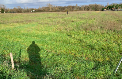 terrain 700 m2 à construire à Saint-Christoly-de-Blaye (33920)