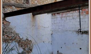 Photo N° 5