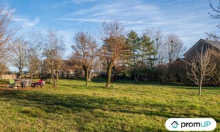 Photo N° 6