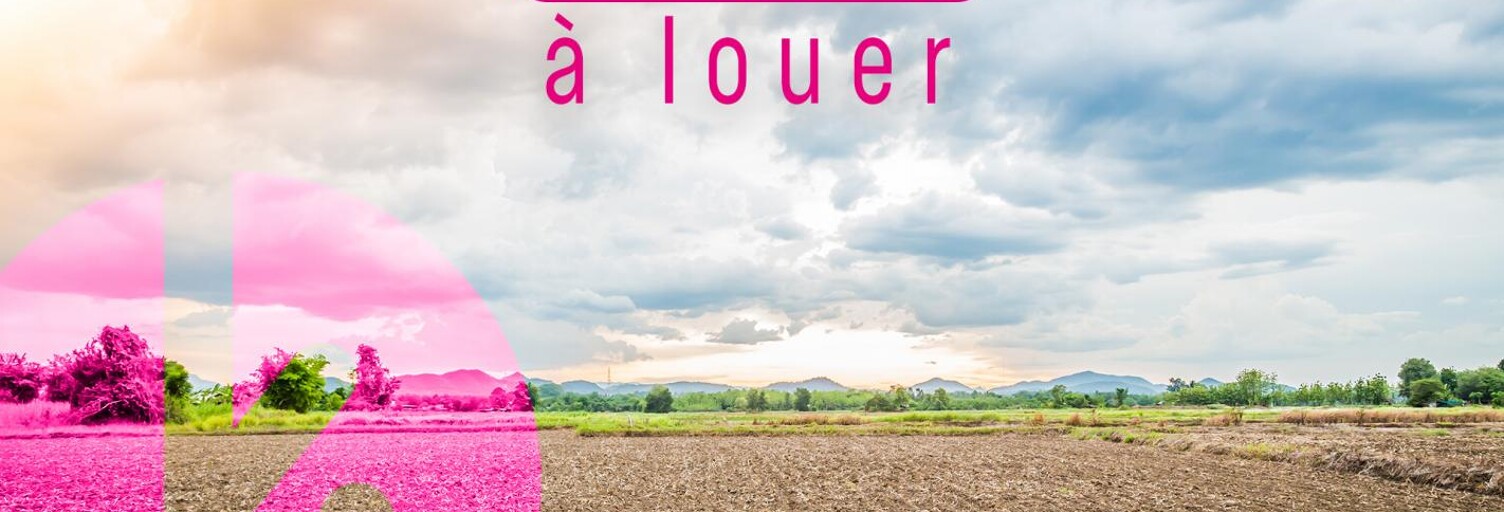 Terrain  2591 m² à louer à Le Tampon (97430)