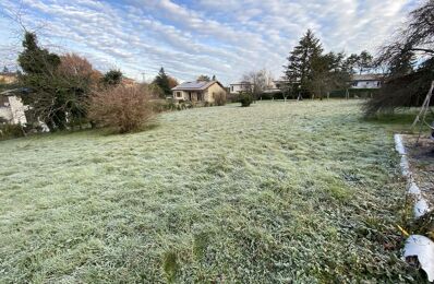 vente terrain 310 000 € à proximité de Curis-Au-Mont-d'Or (69250)