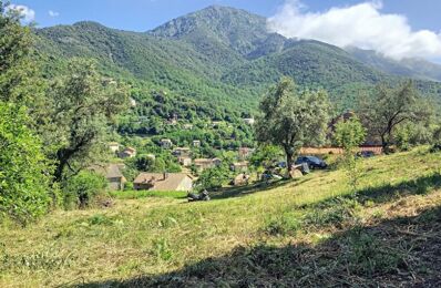 terrain  pièces 1270 m2 à vendre à Tavera (20163)