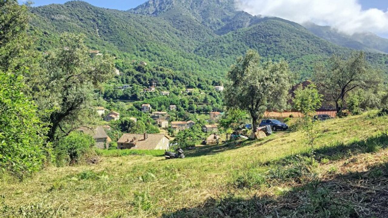 terrain  pièces 1270 m2 à vendre à Tavera (20163)