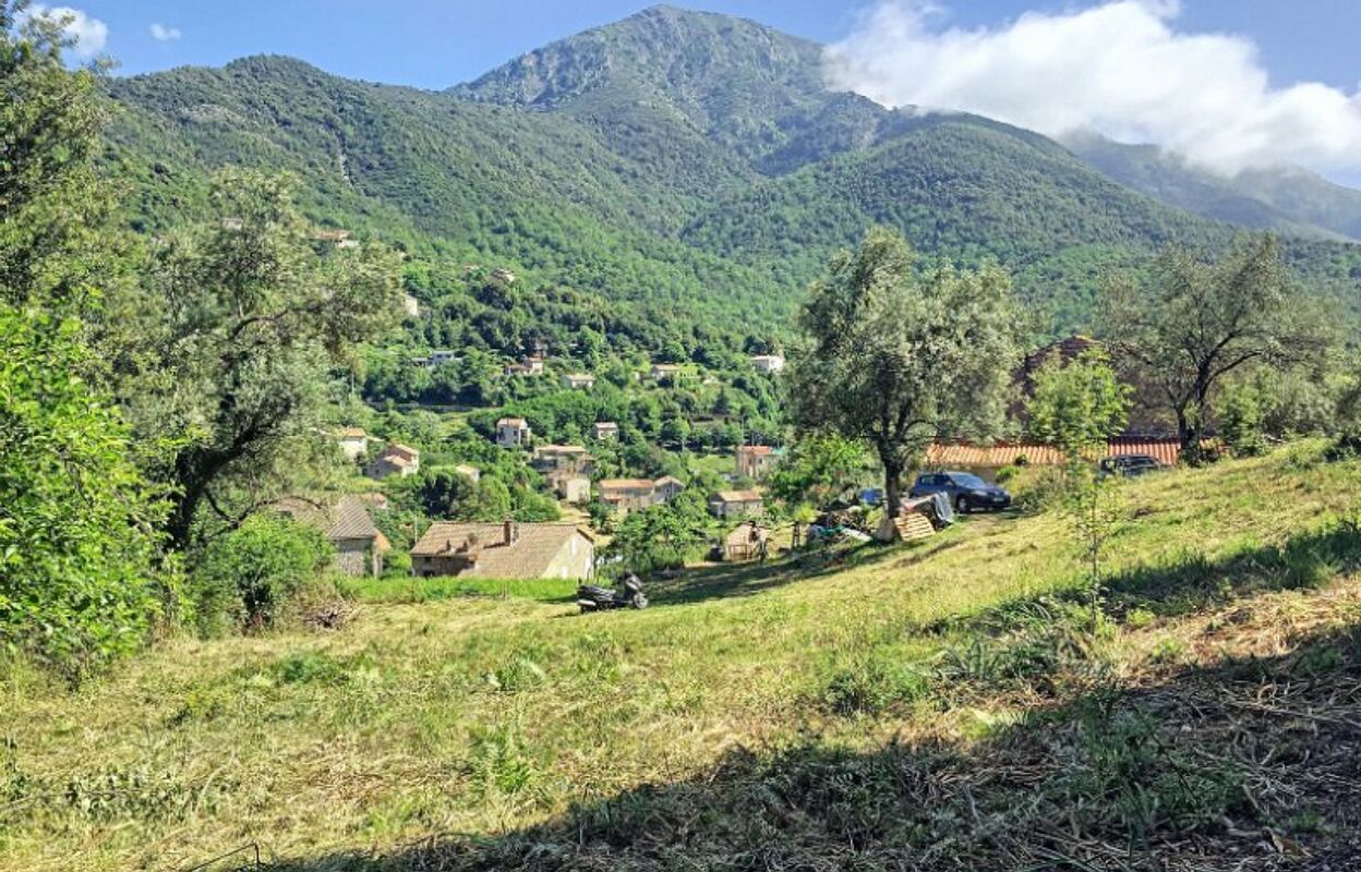 terrain  pièces 1270 m2 à vendre à Tavera (20163)