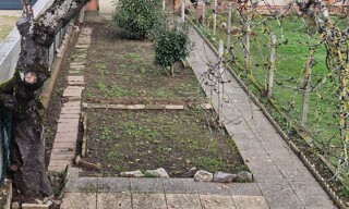 Photo N° 14