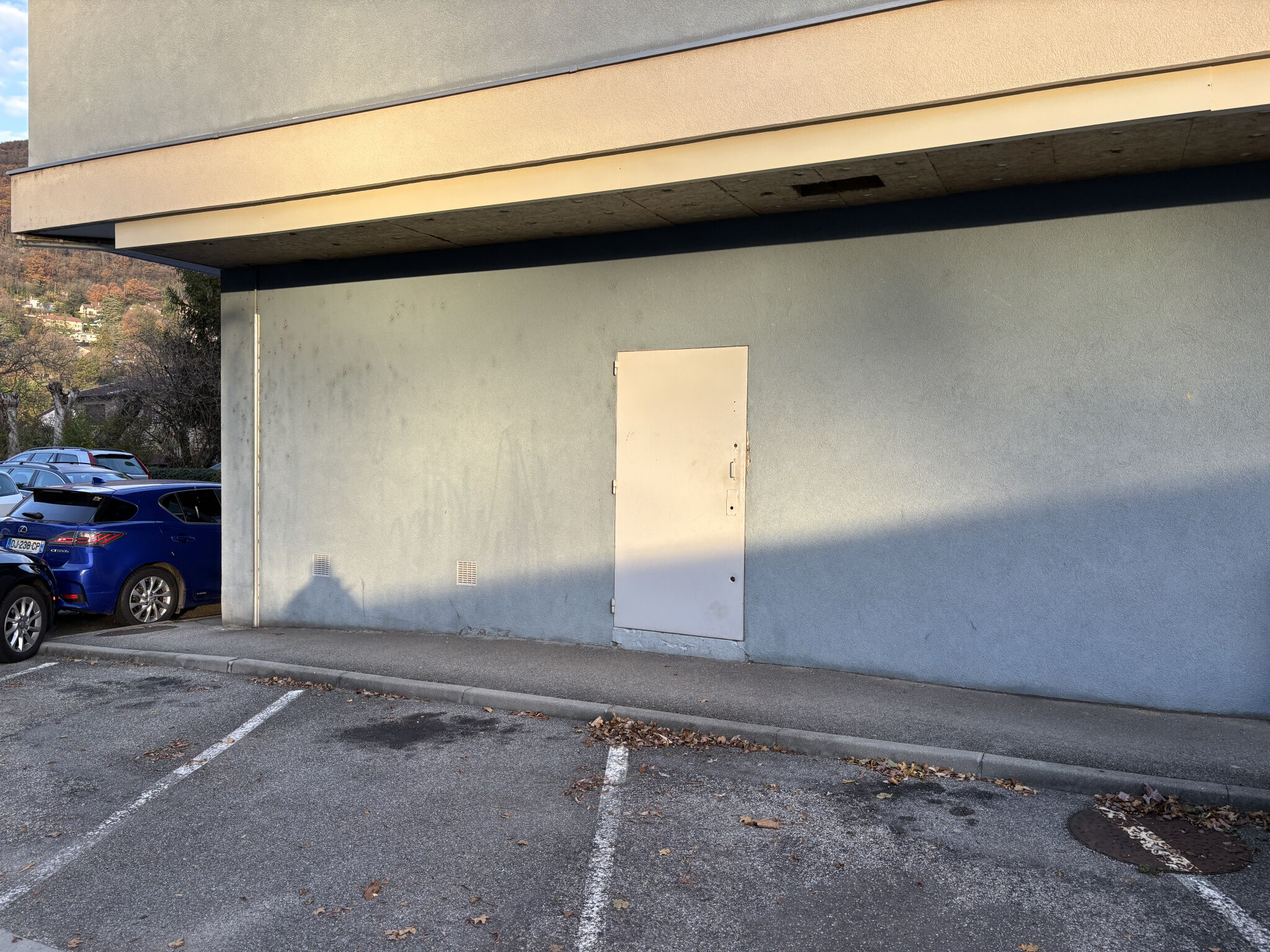 Local d'activit&eacute;s  à vendre Seyssinet-Pariset 38170